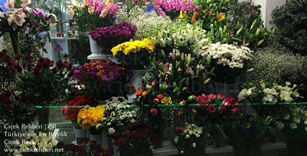 Frezya Çiçek Merkez, Antalya, Muratpaşa fotoğrafları