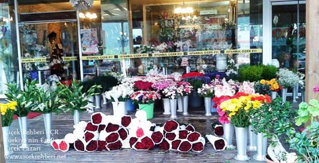 İstanbul Çiçek Evi Merkez, Antalya, Kemer fotoğrafları