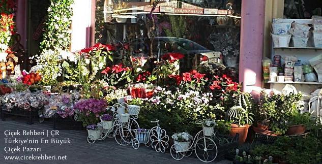 Gündoğdu Çiçekçilik Merkez, Antalya, Alanya fotoğrafları