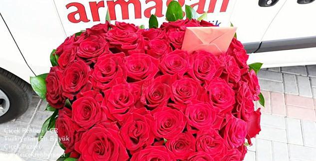 Armağan Çiçekçilik Merkez, Antalya, Alanya fotoğrafları