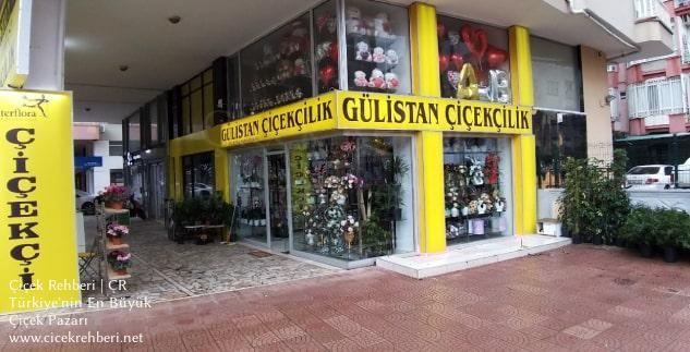 Gülistan Çiçekçilik Merkez, Antalya, Alanya fotoğrafları