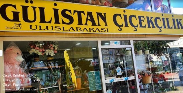 Gülistan Çiçekçilik Merkez, Antalya, Alanya fotoğrafları