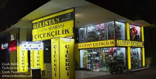 Gülistan Çiçekçilik Merkez, Antalya, Alanya fotoğrafları