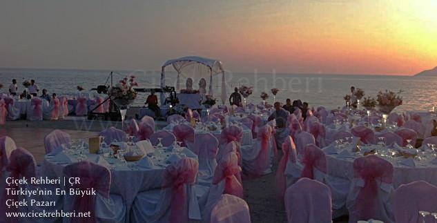 Açelya Çiçekçilik Merkez, Muğla, Fethiye fotoğrafları