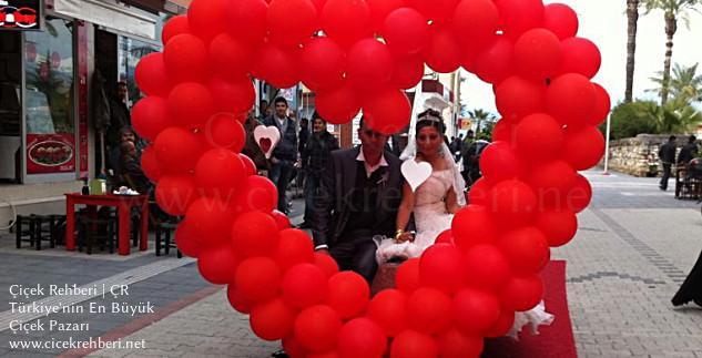 Açelya Çiçekçilik Merkez, Muğla, Fethiye fotoğrafları