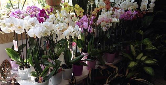 Karmen Çiçekçilik Merkez, Konya, Meram fotoğrafları
