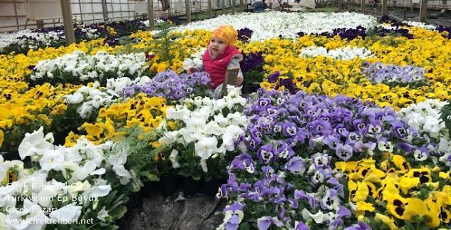 Uzundere Çiçekçilik Merkez, Erzurum, Uzundere fotoğrafları