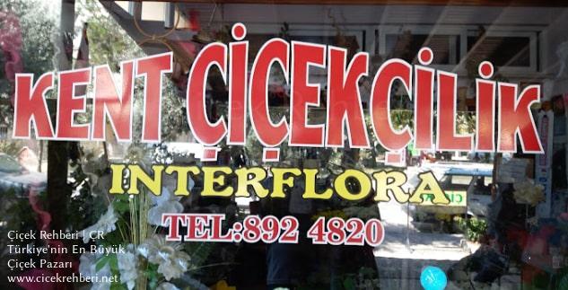 Kent Çiçekçilik Merkez, İzmir, Selçuk fotoğrafları