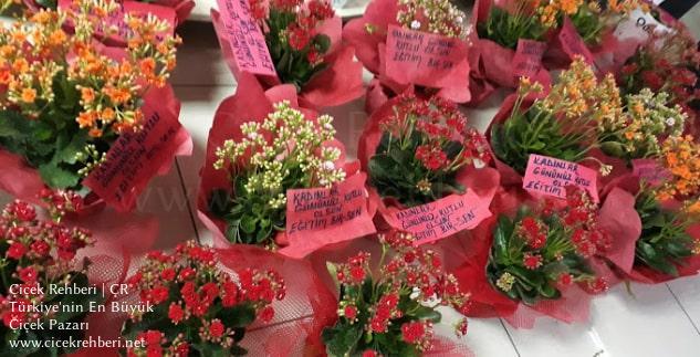 Hilal Çiçekçilik Merkez, Manisa, Ahmetli fotoğrafları
