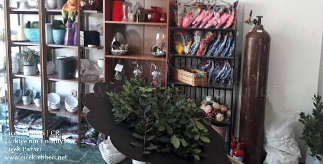 Beyaz Papatya Çiçekçilik Merkez, Muğla, Bodrum fotoğrafları