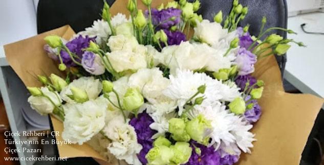 Beyaz Papatya Çiçekçilik Merkez, Muğla, Bodrum fotoğrafları