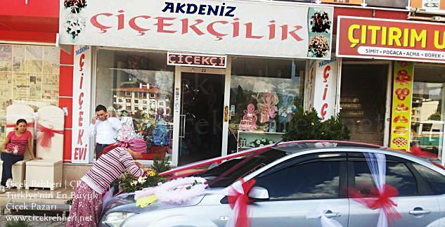 Akdeniz Çiçekçilik Merkez, Balıkesir, Edremit fotoğrafları