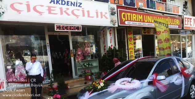 Akdeniz Çiçekçilik Merkez, Balıkesir, Edremit fotoğrafları