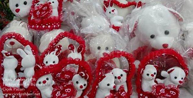 Burcu Çiçekçilik Merkez, İzmir, Aliağa fotoğrafları