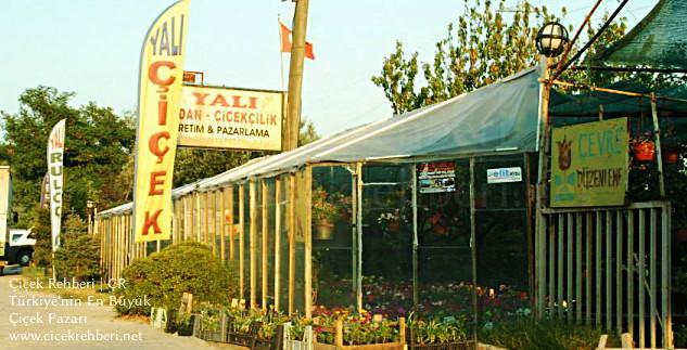 Yalı Fidan Ve Çiçekçilik Merkez, Balıkesir, Erdek fotoğrafları