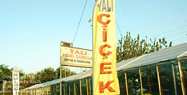 Yalı Fidan Ve Çiçekçilik Merkez, Balıkesir, Erdek fotoğrafları