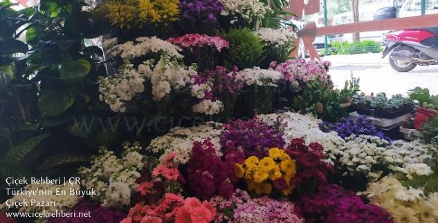 Seba Çiçekçilik Merkez, Adana, Seyhan fotoğrafları