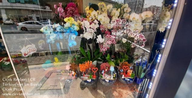 Menekşe Çiçekçilik Merkez, İstanbul, Ümraniye fotoğrafları