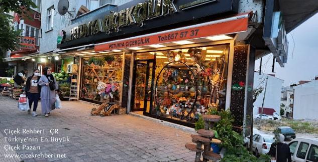 Petunya Çiçekçilik Merkez, İstanbul, Bağcılar fotoğrafları