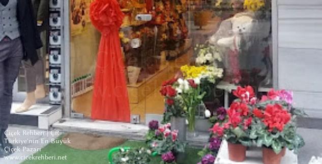 Begonya Çiçekçi Merkez, İstanbul, Küçükçekmece fotoğrafları