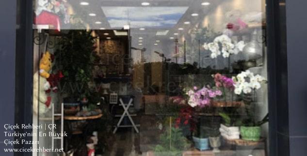 Öykü Çiçek Merkez, İstanbul, Bakırköy fotoğrafları