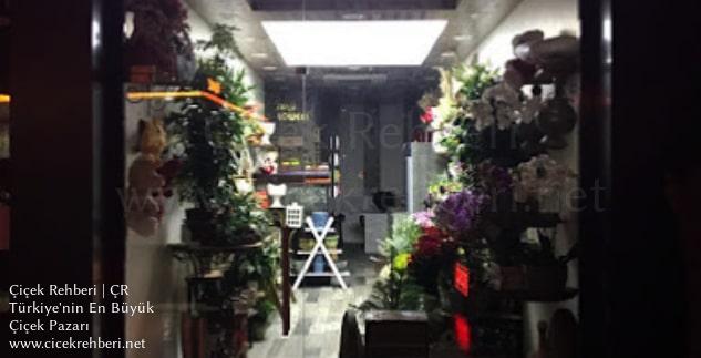 Öykü Çiçek Merkez, İstanbul, Bakırköy fotoğrafları