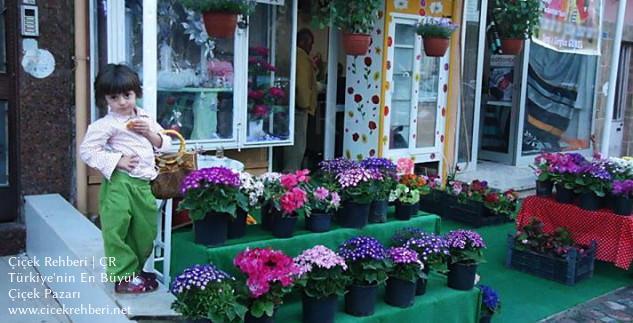 Eylül Çiçekçilik Merkez, Manisa, Turgutlu fotoğrafları