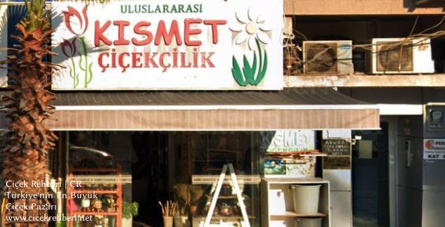 Kısmet Çiçekçilik Merkez, Manisa, Turgutlu fotoğrafları