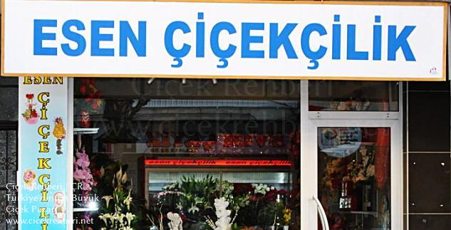 Esen Çiçekcilik Merkez, Manisa, Akhisar fotoğrafları