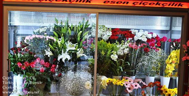 Esen Çiçekcilik Merkez, Manisa, Akhisar fotoğrafları