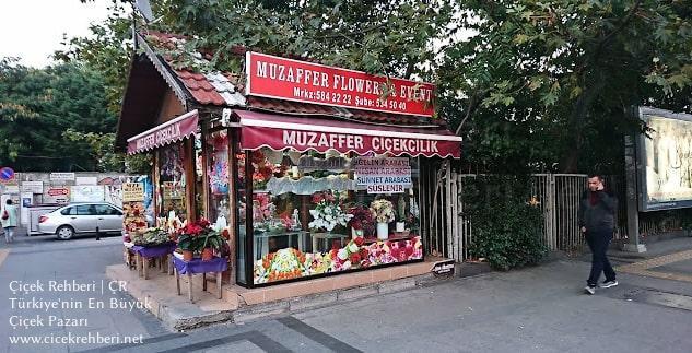Muzaffer Çiçekçilik Merkez, İstanbul, Fatih fotoğrafları