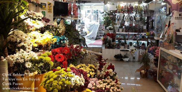 Mahir Çiçekçilik Merkez, İstanbul, Fatih fotoğrafları