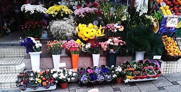 Armoni Çiçekçi Merkez, Trabzon, Merkez fotoğrafları