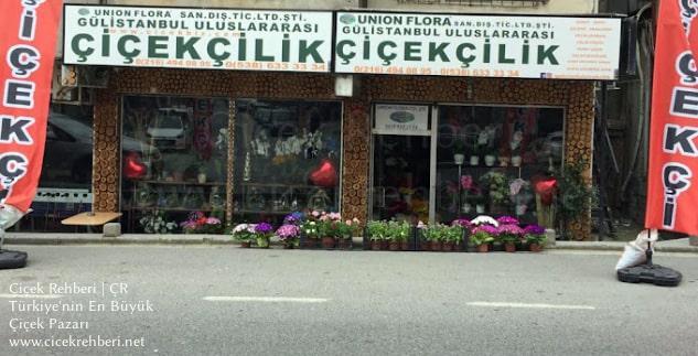 Gülistanbul Çiçekçilik Merkez, İstanbul, Pendik fotoğrafları