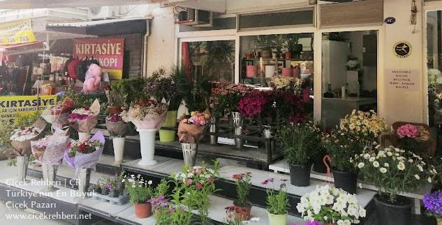 Akasya Çiçekçilik Merkez, İzmir, Bornova fotoğrafları