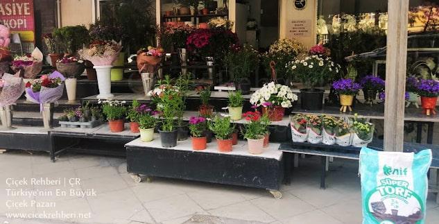 Akasya Çiçekçilik Merkez, İzmir, Bornova fotoğrafları