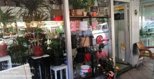 Akasya Çiçekçilik Merkez, İzmir, Bornova fotoğrafları