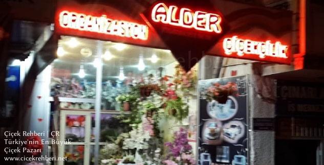 Alder Çiçekçilik Merkez, Nevşehir, Merkez fotoğrafları