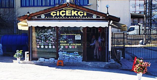 Yağmurlu Bahar Çiçek Bahçesi Merkez, Ankara, Etimesgut fotoğrafları