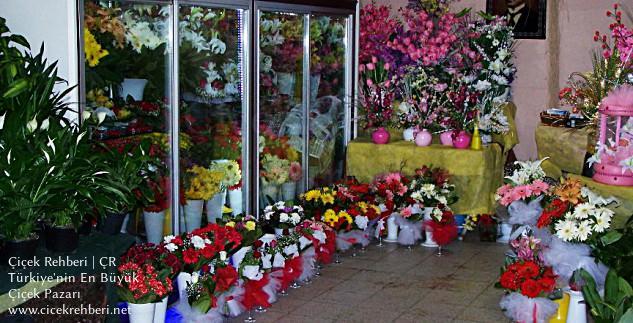 Yağmurlu Bahar Çiçek Bahçesi Merkez, Ankara, Etimesgut fotoğrafları