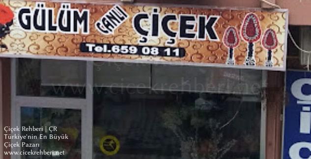 Gülüm Çiçekçilik Merkez, İstanbul, Bağcılar fotoğrafları