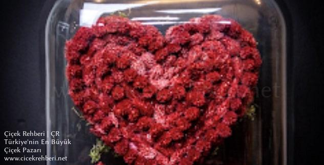 Sabuncakis Çiçekçilik Yeşilyurt, İstanbul, Bakırköy fotoğrafları