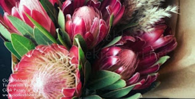 Sabuncakis Çiçekçilik Yeşilyurt, İstanbul, Bakırköy fotoğrafları