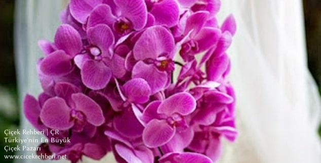 Sabuncakis Çiçekçilik Yeşilyurt, İstanbul, Bakırköy fotoğrafları