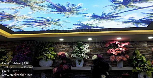 Nergiz Çiçekçilik Merkez, Diyarbakır, Bağlar fotoğrafları