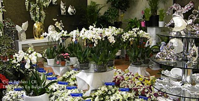 Gözde Çiçekçilik Merkez, Gaziantep, Şehitkamil fotoğrafları