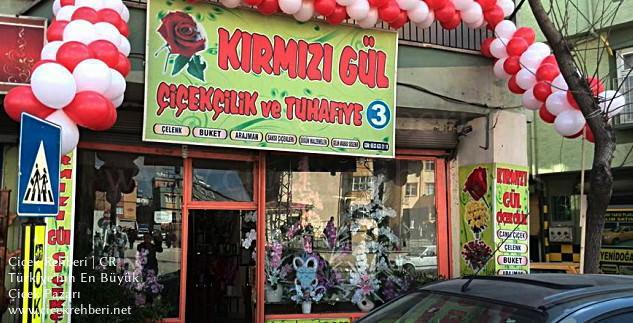 Kımızı Gül Çiçekçilik Merkez, Gaziantep, Şahinbey fotoğrafları