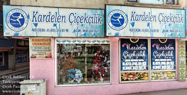 Kardelen Çiçekçilik Merkez, Ağrı, Merkez fotoğrafları