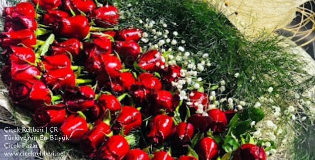 Şahinler Uluslararası Çiçekçilik Merkez, Yozgat, Merkez fotoğrafları