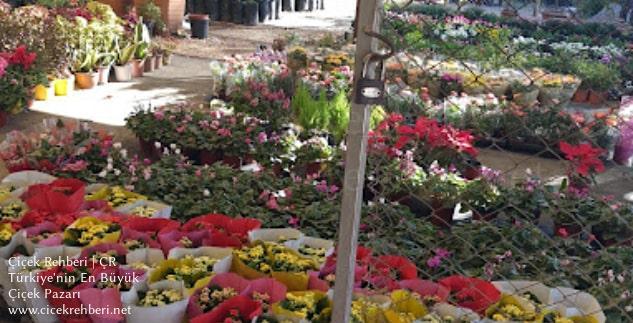 Şitilci Çiçek Merkez, Adana, Yüreğir fotoğrafları